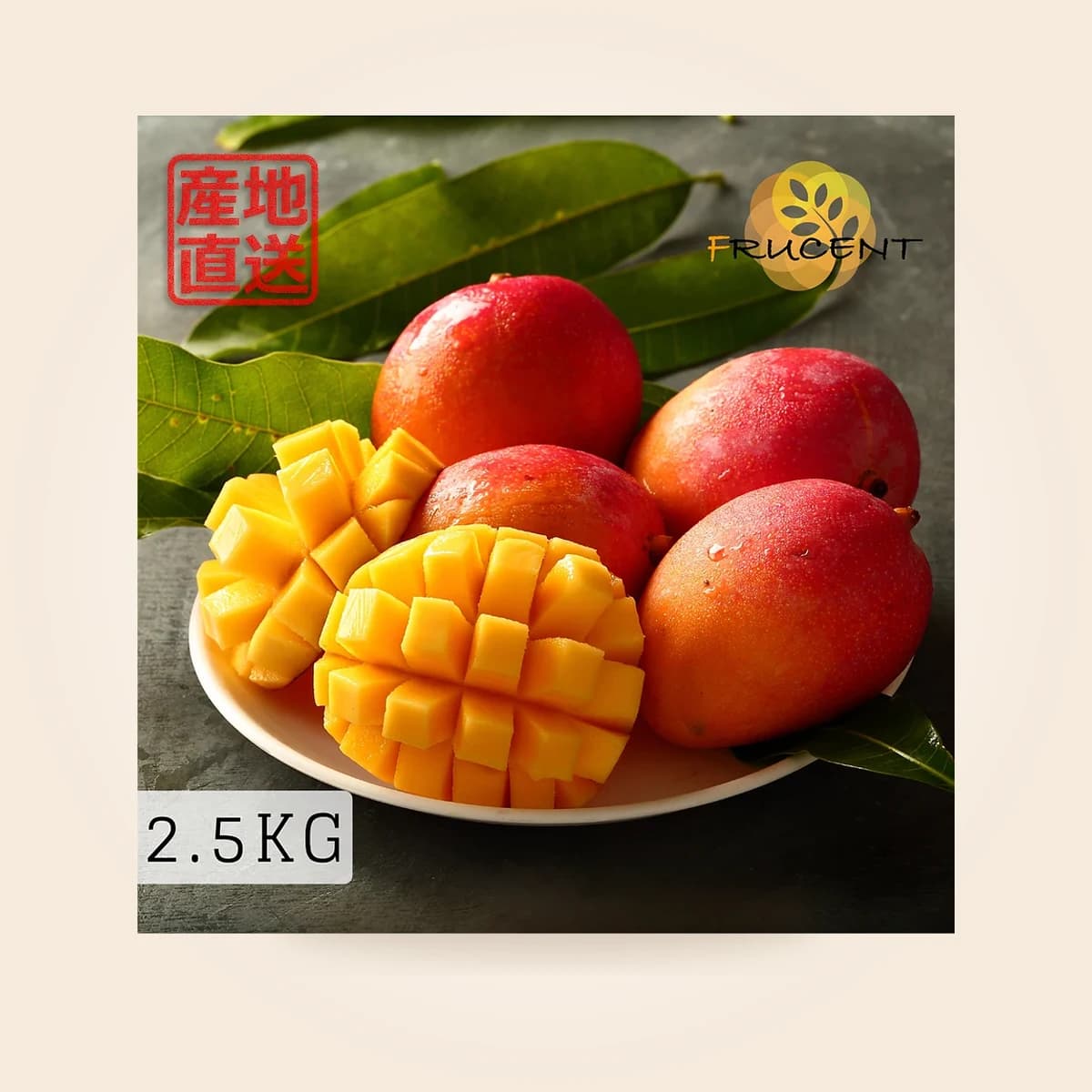 台灣愛文芒果|愛文マンゴー|台湾マンゴー|IRWIN MANGO|2.5kg( 約4~7玉 ))|予約販売中