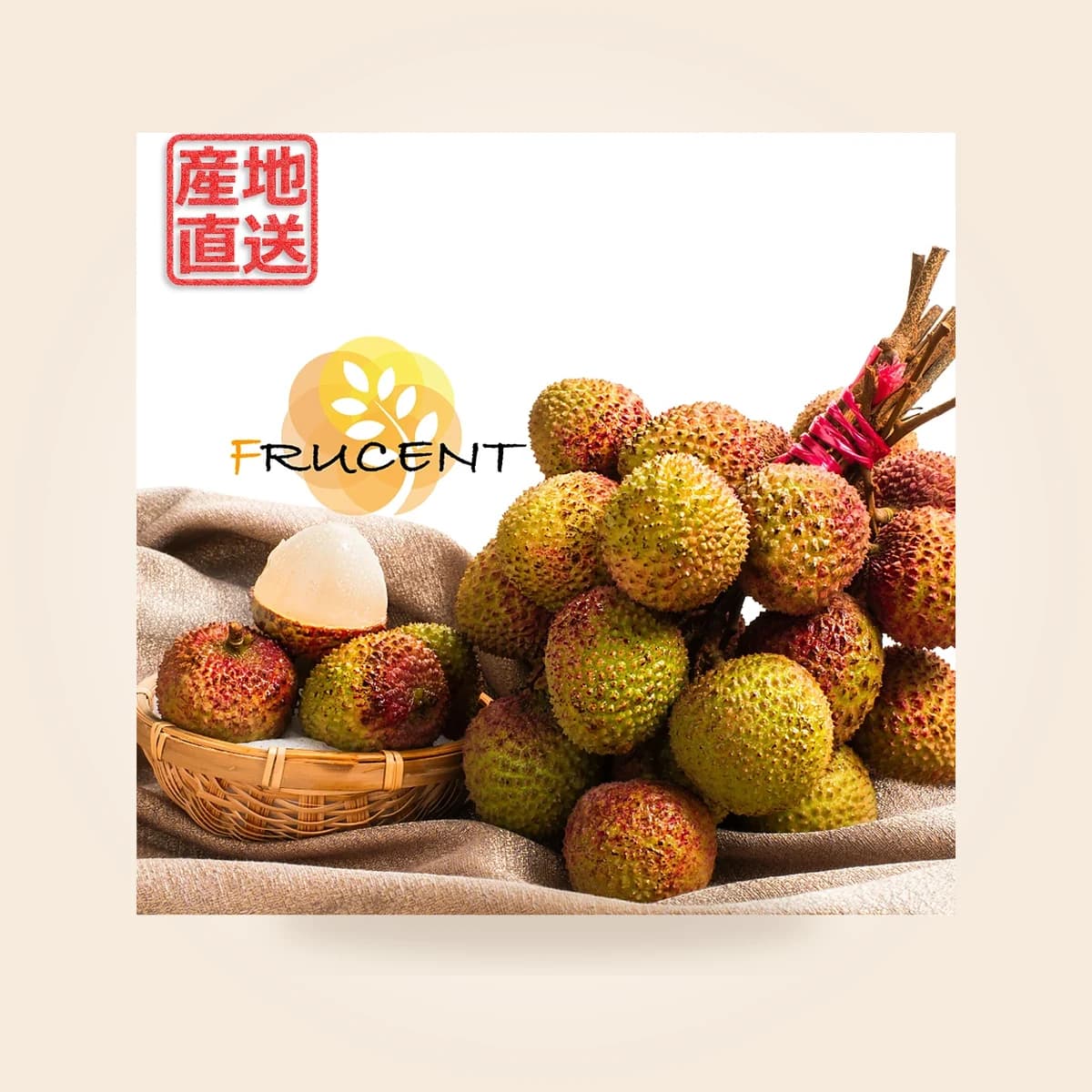 台灣玉荷包荔枝|玉荷包ライチ|台湾ライチ|LYCHEE|3kg|予約販売中