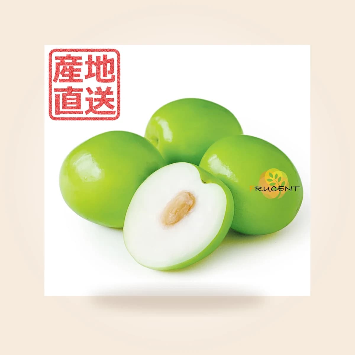台灣蜜棗|台湾なつめ|2.5kg(18-22玉)|予約販売