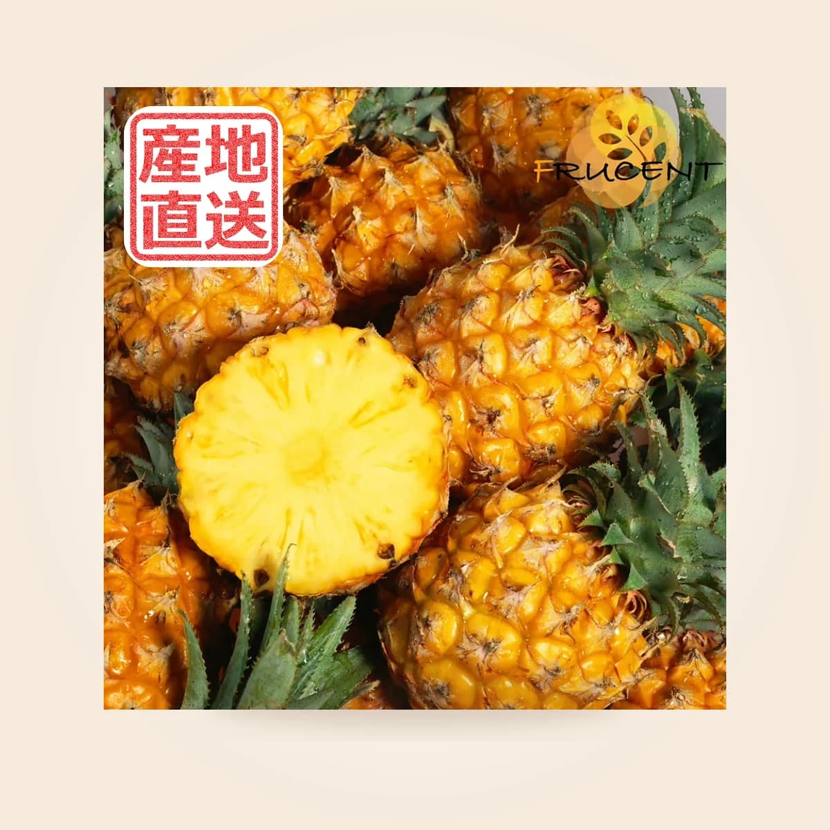 台灣金鑽鳳梨|金鑚パイン|台湾パイナップル|PINEAPPLE|5kg|予約販売中