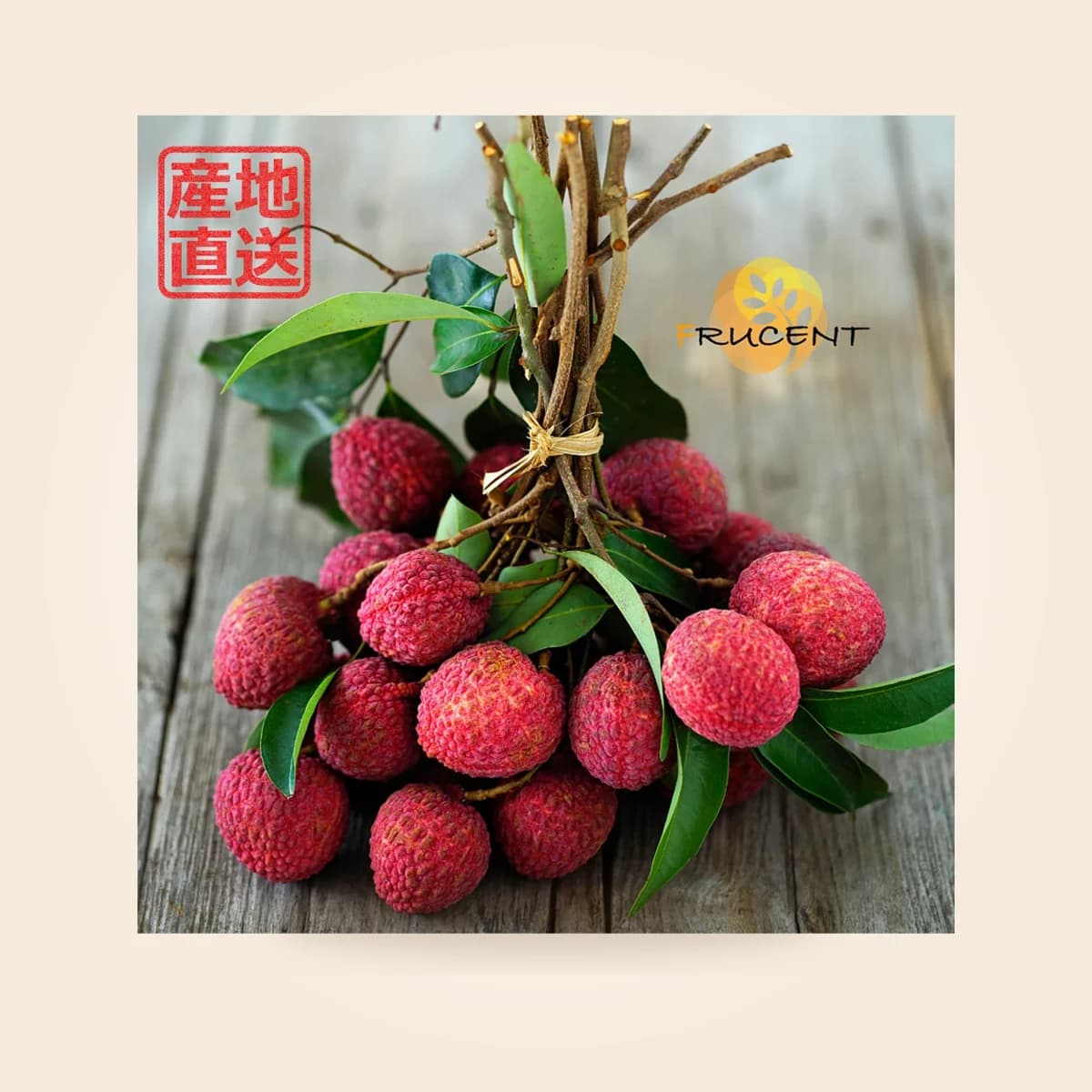 台灣黒葉ライチ|黒葉ライチ|台湾ライチ|LYCHEE|2.5kg|予約販売中