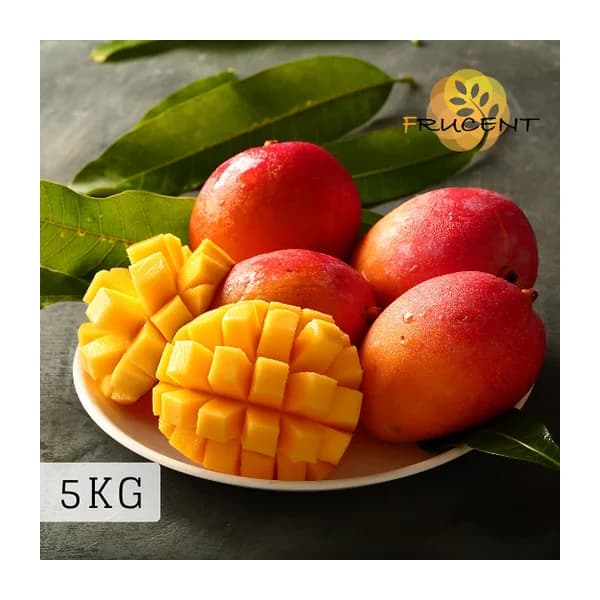 台灣愛文芒果|愛文マンゴー|台湾マンゴー|IRWIN MANGO|5kg( 約8~14玉 ))|予約販売中 2