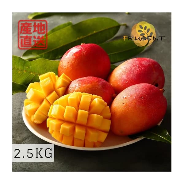 台灣愛文芒果|愛文マンゴー|台湾マンゴー|IRWIN MANGO|5kg( 約8~14玉 ))|予約販売中 3