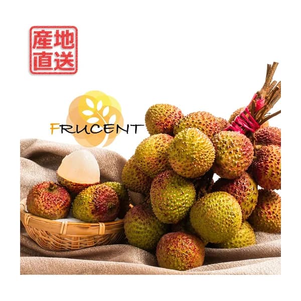 台灣玉荷包荔枝|玉荷包ライチ|台湾ライチ|LYCHEE|3kg|予約販売中 1