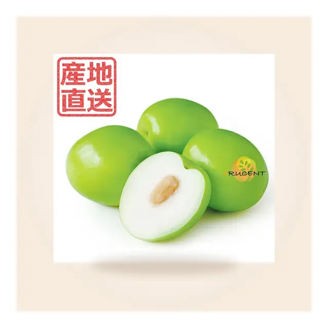 台湾なつめ 2.5kg（約18〜22玉）