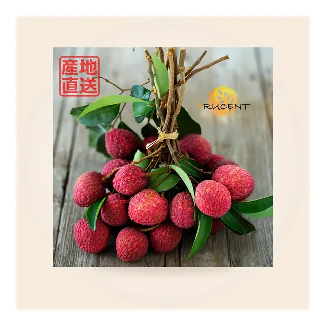 Taiwan Black Leaf Lychee 2.5kg